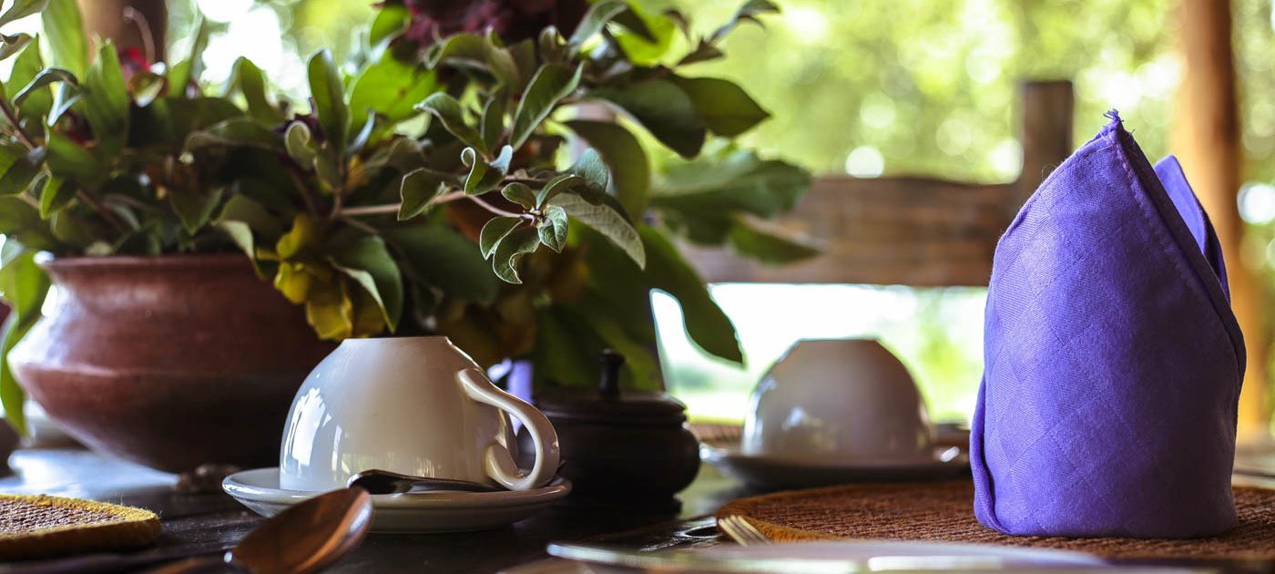 Tarangire_Sangaiwe-1418