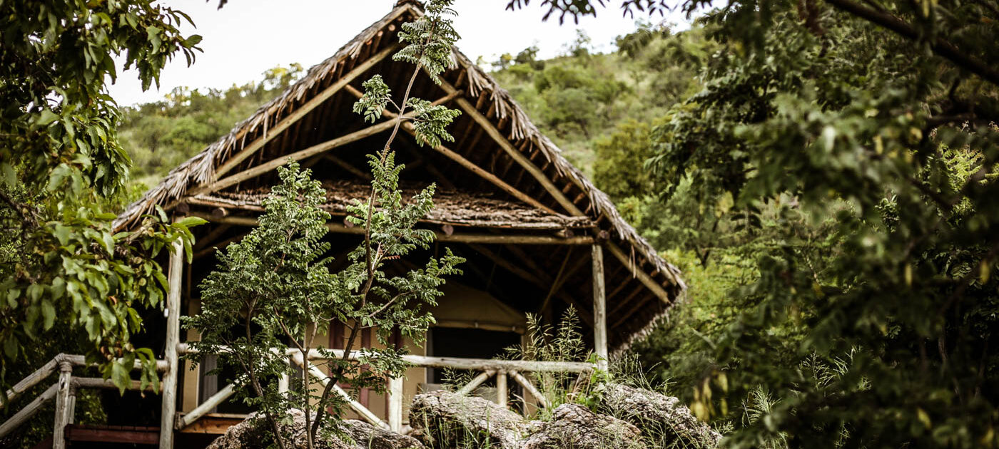 Tarangire_Sangaiwe-2612